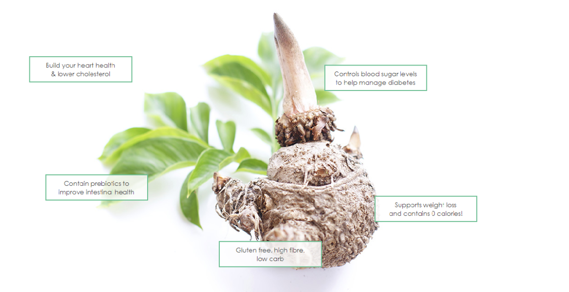 Konjac The Healthiest Food You've Never Heard Of Erica's Konjac